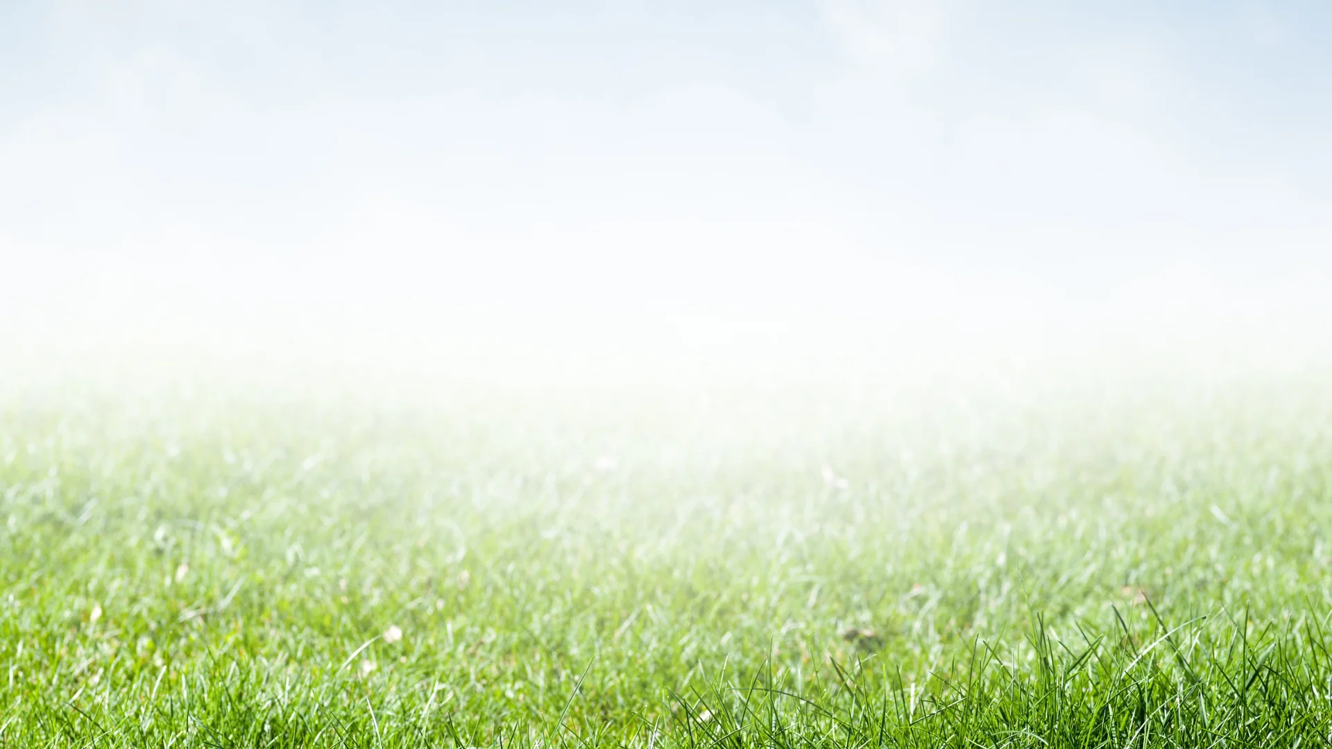 Unleash Your Yard's Full Potential